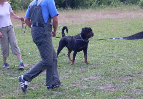 Training in Estonia 6/2007